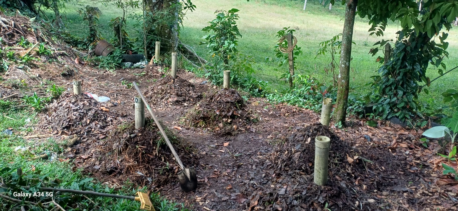 Cama de compost en proceso de descomposición en la Fundación