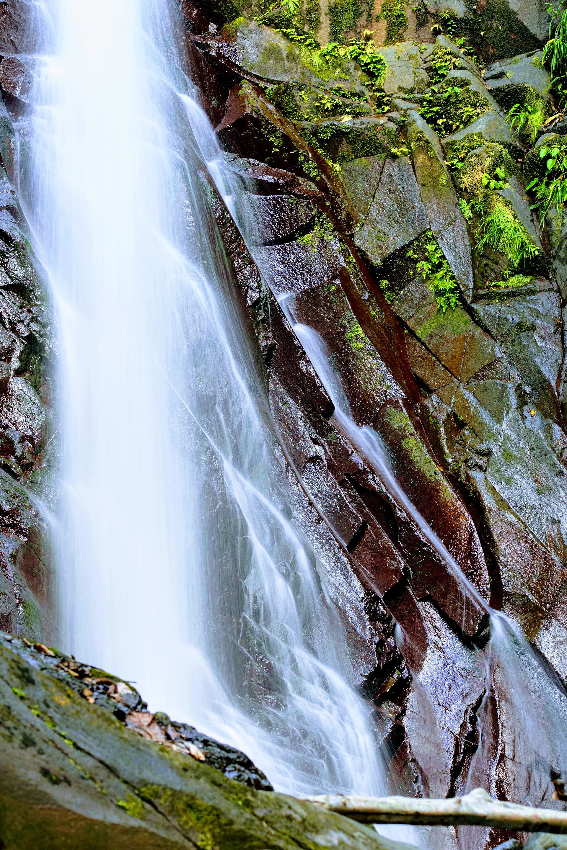 Cascada en medio de la selva y el bosque