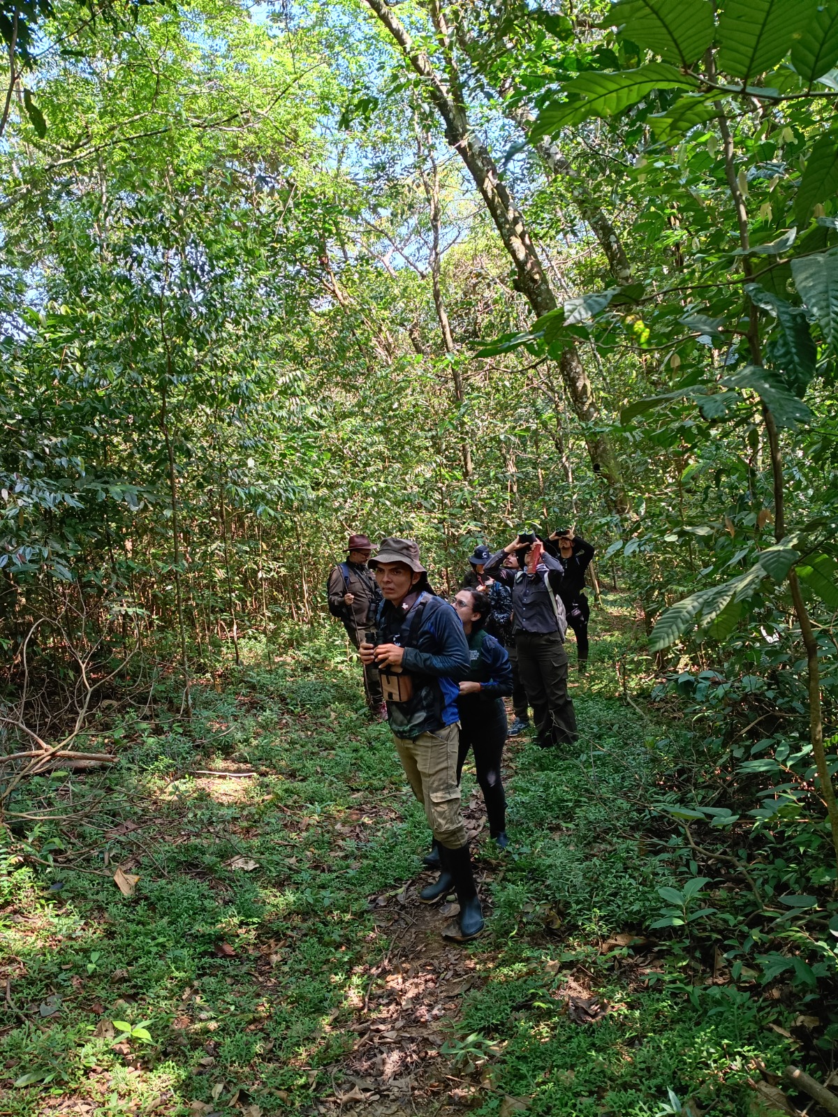 Guía con turistas observando la flora del sendero