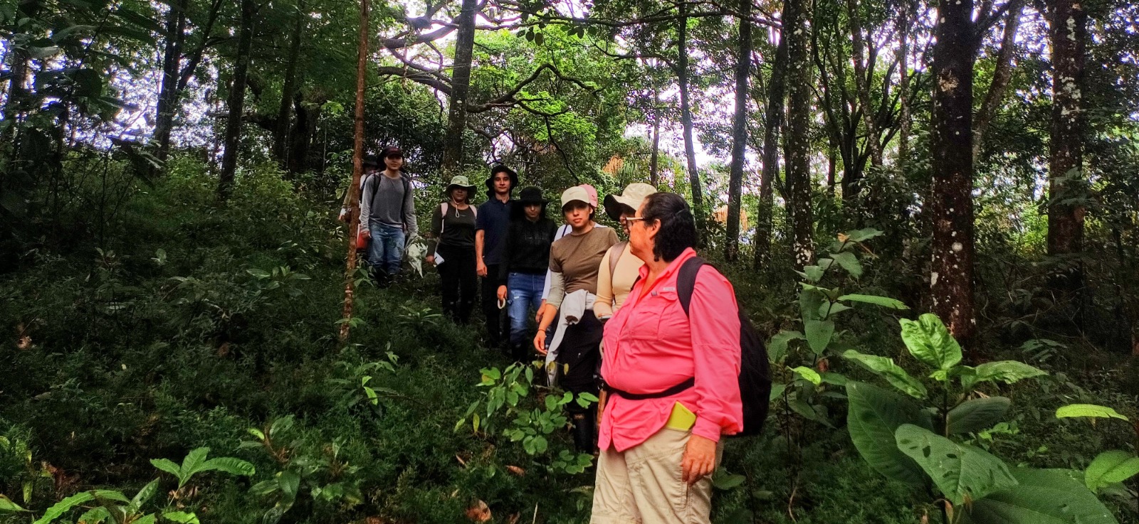 Guía con turistas recorriendo el piedemonte llanero