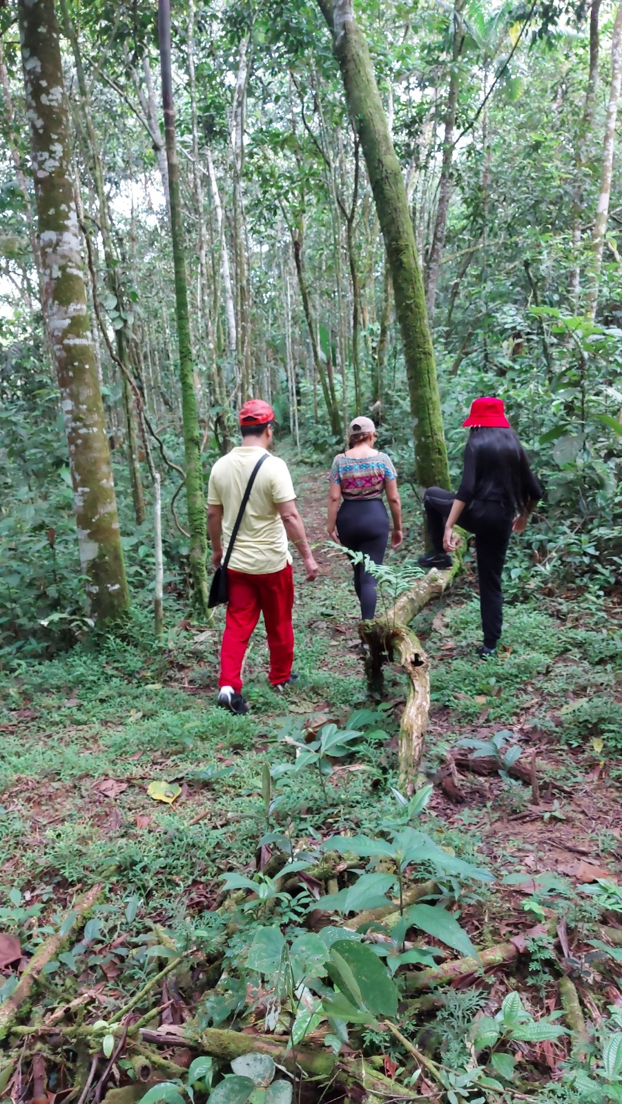 Guía con turistas conectando con el entorno natural
